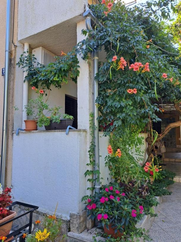 Accomodation Mirjana Rooms Poreč Exteriör bild
